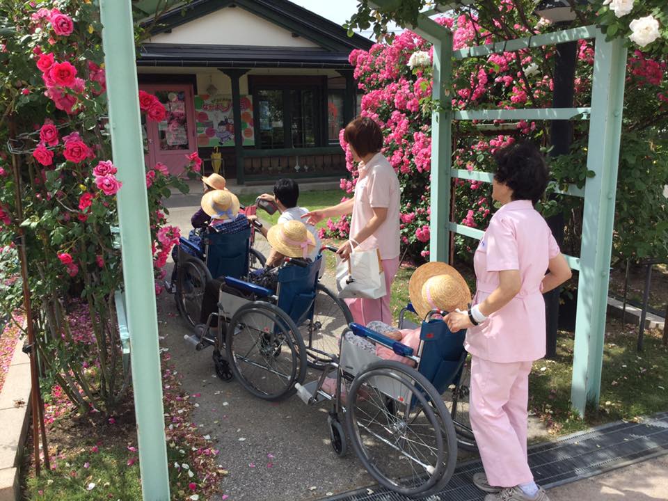 バラ園ドライブ